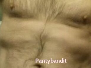 Pantybandit