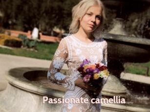 Passionate_camellia