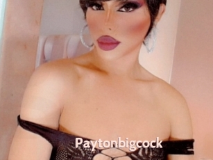 Paytonbigcock