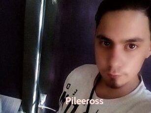 Pileeross