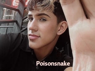 Poisonsnake