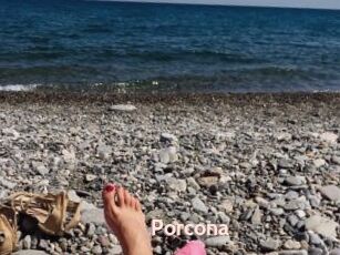 Porcona