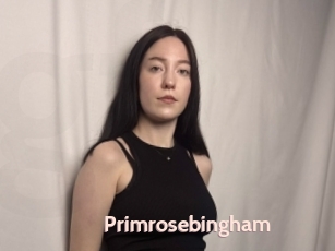 Primrosebingham