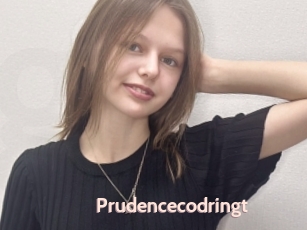 Prudencecodringt