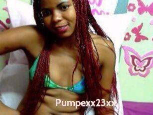 Pumpexx23xx