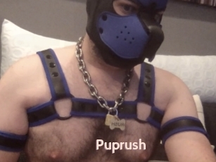 Puprush