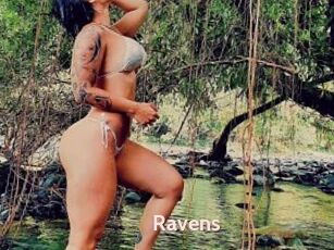Ravens