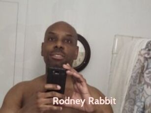 Rodney_Rabbit