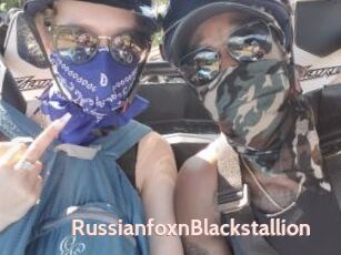 RussianfoxnBlackstallion
