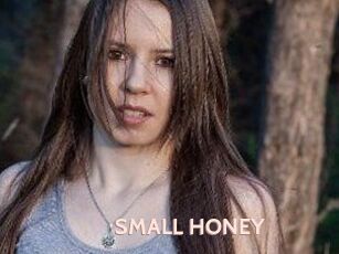 SMALL_HONEY