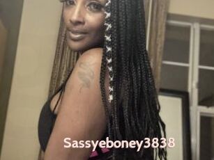 Sassyeboney3838