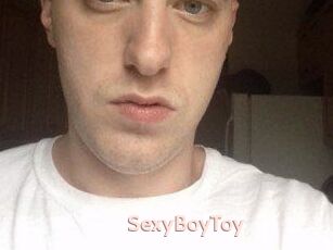 SexyBoyToy
