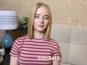 SilinBekk
