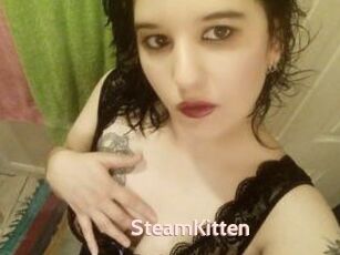 SteamKitten