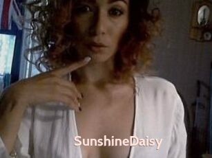 SunshineDaisy