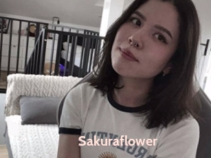 Sakuraflower