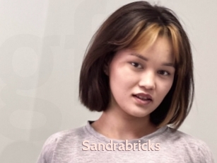 Sandrabricks