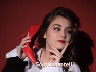 Scottiesantell