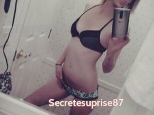 Secretesuprise87