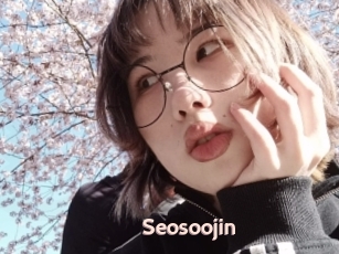 Seosoojin