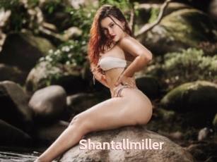 Shantallmiller