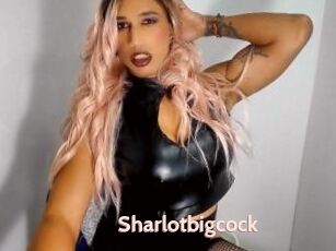 Sharlotbigcock