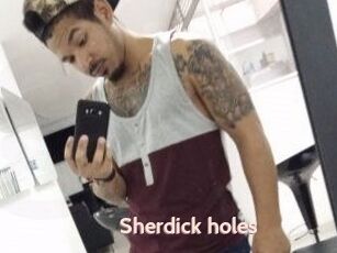 Sherdick_holes