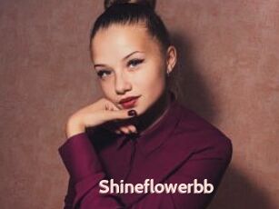 Shineflowerbb
