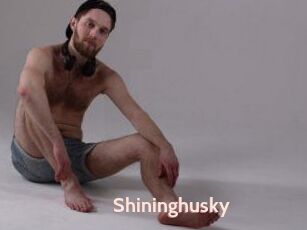 Shininghusky