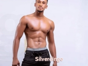 Silverdingo