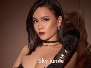 Sky_junne