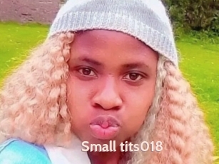 Small_tits018
