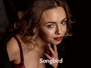 Songbird