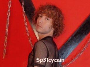 Sp31cycain