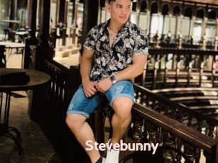 Stevebunny