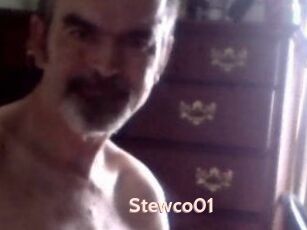 Stewco01