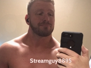 Streamguy8895