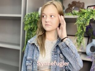Synnefugler