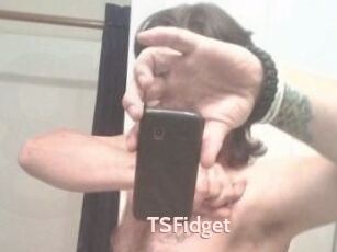 TSFidget