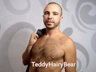 TeddyHairyBear