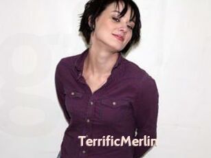 TerrificMerlin