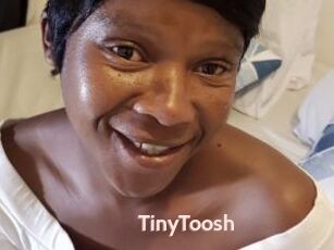 TinyToosh