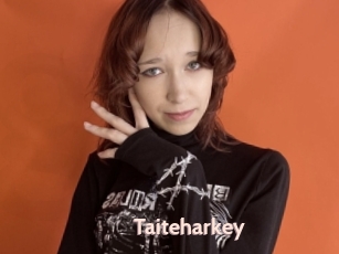 Taiteharkey