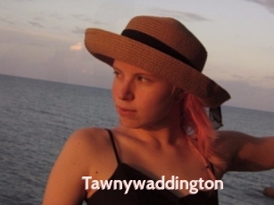 Tawnywaddington