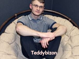Teddybizon