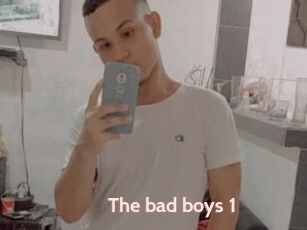 The_bad_boys_1