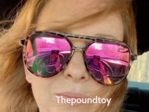 Thepoundtoy