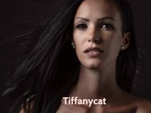 Tiffanycat
