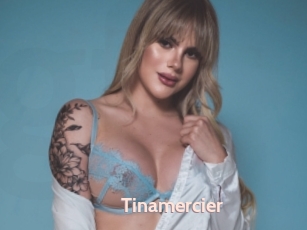 Tinamercier
