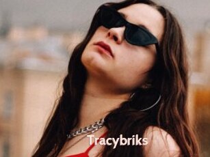 Tracybriks